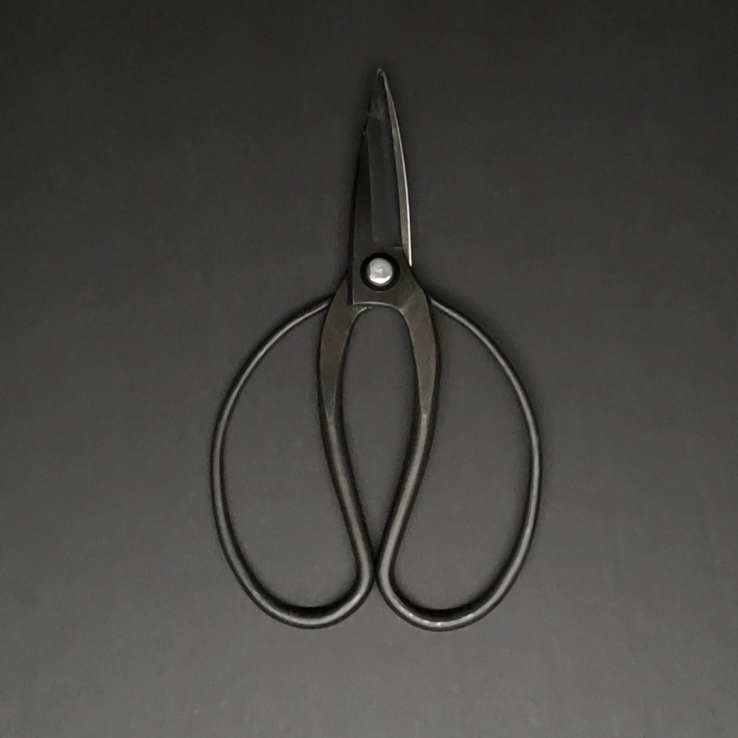 Toyama Hamono | Garden Scissors | Black