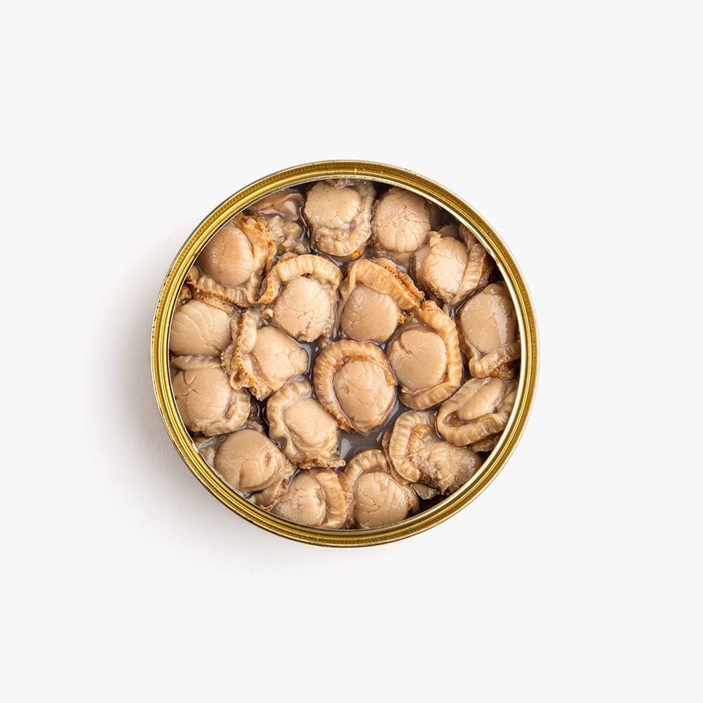Real Conservera | Scallops in Brine | Galician Estuaries