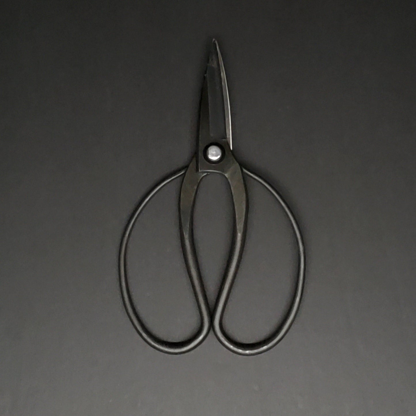 Toyama Hamono | Garden Scissors | Black - Coutelier